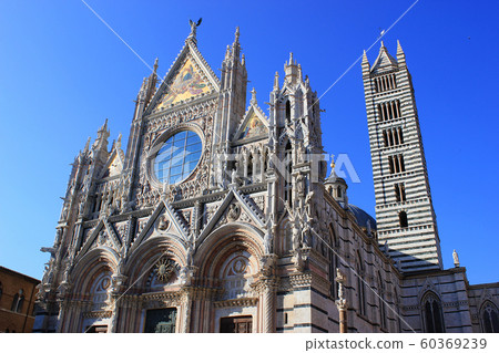 Cathedral of Siena Cathedral of Siena 60369239