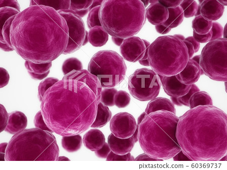 3D rendering Bacteria closeup on white background 3D rendering Bacteria closeup on white background 60369737