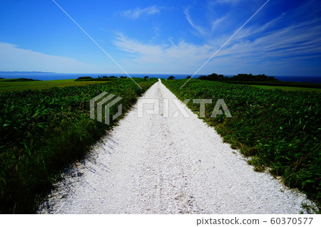 Angel road Angel road 60370577