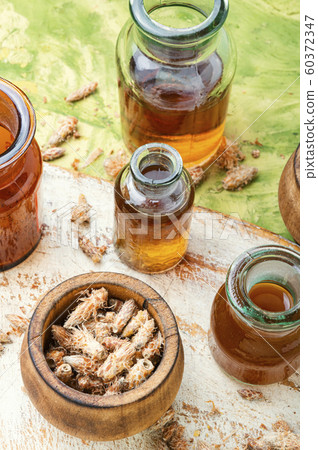 Pine kidneys in folk medicine Pine kidneys in folk medicine 60372347