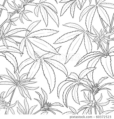 hemp vector pattern-插圖素材 [60372523] - PIXTA圖庫