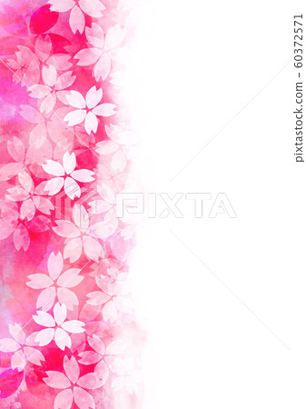 Sakura spring watercolor illustration 60372571