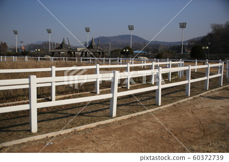 Gwacheon-si, Racecourse, Horse Racing Park 60372739