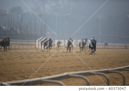 Gwacheon-si, Racecourse, Horse Racing Park Gwacheon-si, Racecourse, Horse Racing Park 60373047