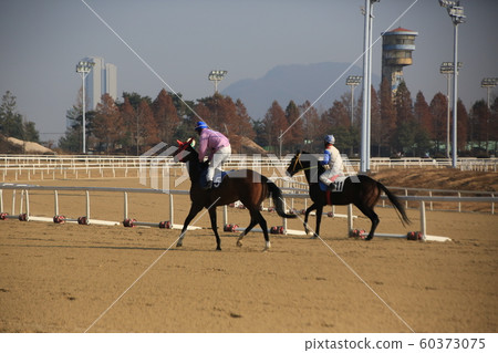 Gwacheon-si, Racecourse, Horse Racing Park Gwacheon-si, Racecourse, Horse Racing Park 60373075
