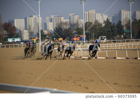果川市賽馬場賽馬公園 60373095