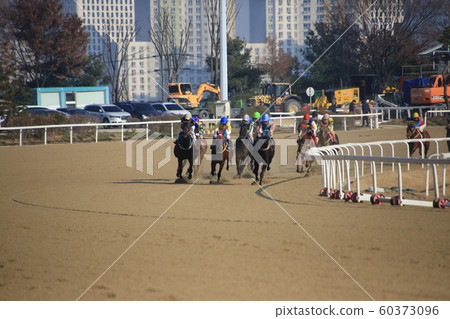 果川市賽馬場賽馬公園 果川市賽馬場賽馬公園 60373096