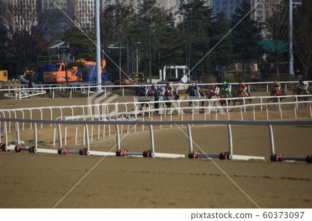 果川市賽馬場賽馬公園 果川市賽馬場賽馬公園 60373097