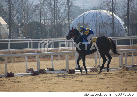 Gwacheon-si, Racecourse, Horse Racing Park 60373100