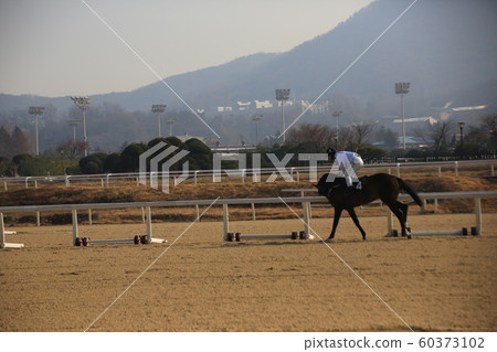Gwacheon-si, Racecourse, Horse Racing Park 60373102