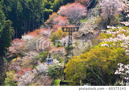 Yoshinoyama Yoshinoyama 60373143
