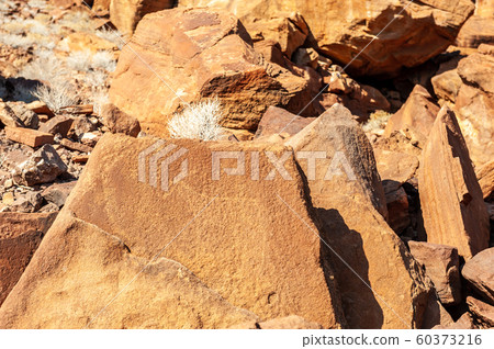 Rock art of the San People 60373216