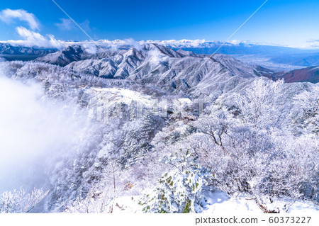  《山梨縣》桑托格冰雪森林 60373227