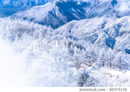  《山梨縣》桑托格冰雪森林 60373236