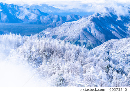  《山梨縣》桑托格冰雪森林 60373240