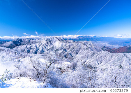 《Yamanashi Prefecture》Frosted Ice Forest, Santoge  《Yamanashi Prefecture》Frosted Ice Forest, Santoge 60373279