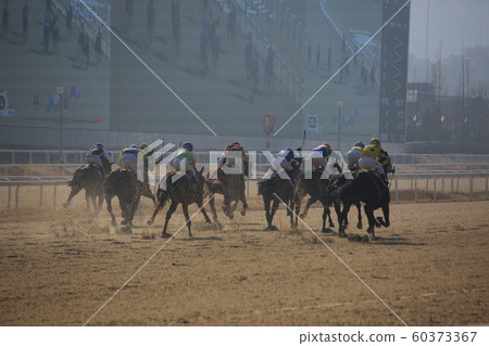 Gwacheon-si, Racecourse, Horse Racing Gwacheon-si, Racecourse, Horse Racing 60373367
