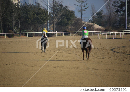 Gwacheon-si, Racecourse, Horse Racing Gwacheon-si, Racecourse, Horse Racing 60373391