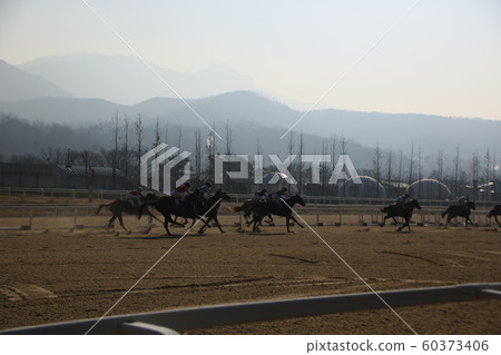 Gwacheon-si, Racecourse, Horse Racing 60373406