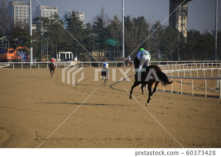 Gwacheon-si, Racecourse, Horse Racing Gwacheon-si, Racecourse, Horse Racing 60373428