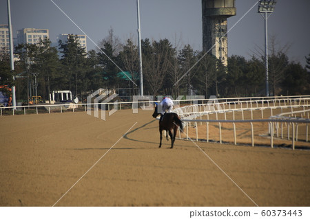 Gwacheon-si, Racecourse, Horse Racing Gwacheon-si, Racecourse, Horse Racing 60373443
