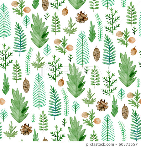 Seamless pattern with evergreen plants. 60373557