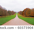 Beautiful road in the center of picture, Landscape of Autumn season. 60373904
