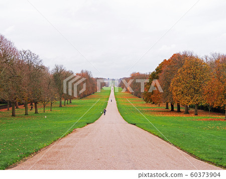 Beautiful road in the center of picture, Landscape of Autumn season. Beautiful road in the center of picture, Landscape of Autumn season. 60373904