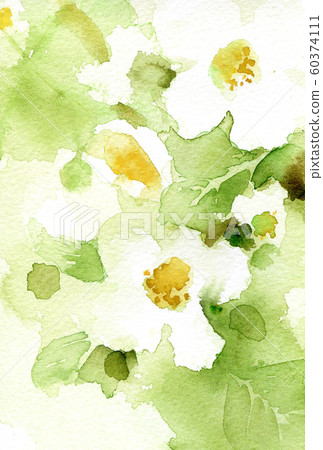 Kiwi watercolor flowers 60374111
