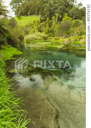 New Zealand Putaruru Blue Spring 60374192