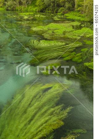 New Zealand Putaruru Blue Spring New Zealand Putaruru Blue Spring 60374205