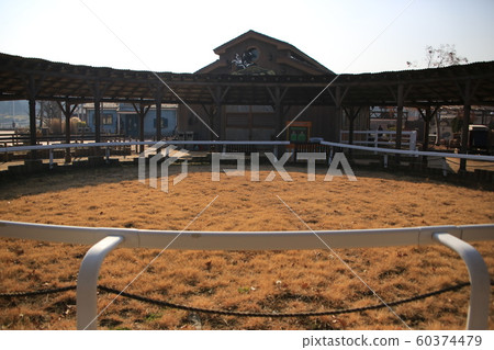 Gwacheon-si, Horse Racing Park, Racecourse 60374479