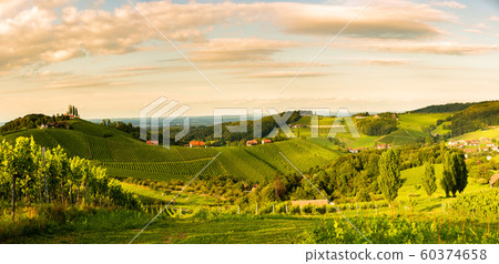 Grape hills and mountains view from wine street in 60374658