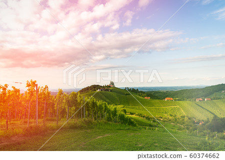 Grape hills and mountains view from wine street in 60374662