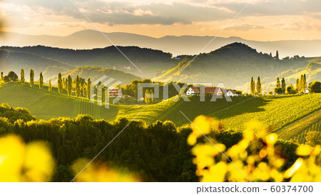 South styria vineyards landscape, near Gamlitz, 60374700