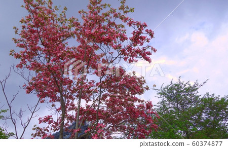 會津武士住宅會津武士住宅 60374877