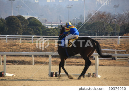 Gwacheon-si, Racecourse, Horse Racing Gwacheon-si, Racecourse, Horse Racing 60374930