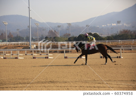 Gwacheon-si, Racecourse, Horse Racing 60374958