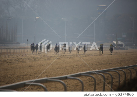 Gwacheon-si, Racecourse, Horse Racing 60374960