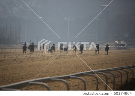 Gwacheon-si, Racecourse, Horse Racing 60374964