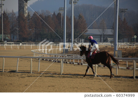 Gwacheon-si, Racecourse, Horse Racing 60374999