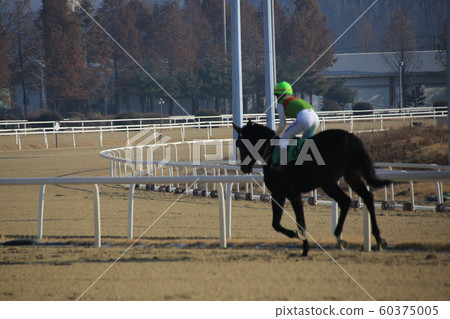 Gwacheon-si, Racecourse, Horse Racing 60375005