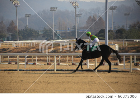 Gwacheon-si, Racecourse, Horse Racing 60375006