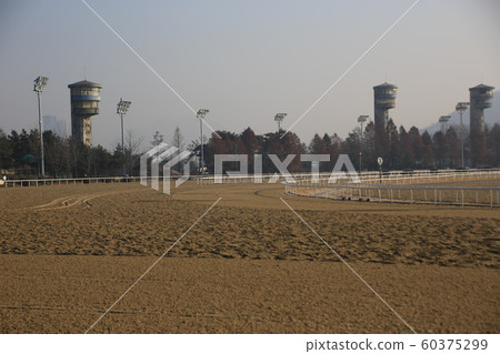 Gwacheon-si, Racecourse, Horse Racing Gwacheon-si, Racecourse, Horse Racing 60375299