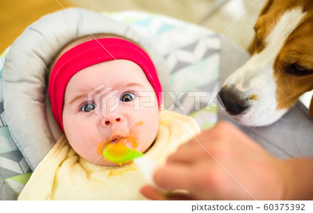 Mother feeding hungry five month old funny baby 60375392