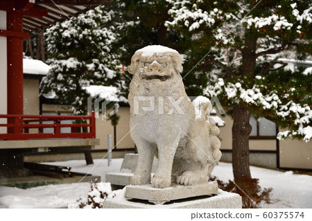 在北海道函館市北海道東照宮神社拍攝冬季雪景 在北海道函館市北海道東照宮神社拍攝冬季雪景 60375574