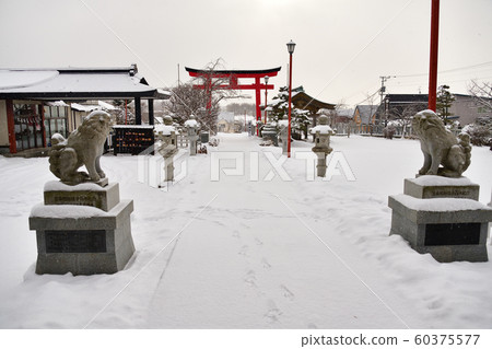 在北海道函館市北海道東照宮神社拍攝冬季雪景 在北海道函館市北海道東照宮神社拍攝冬季雪景 60375577