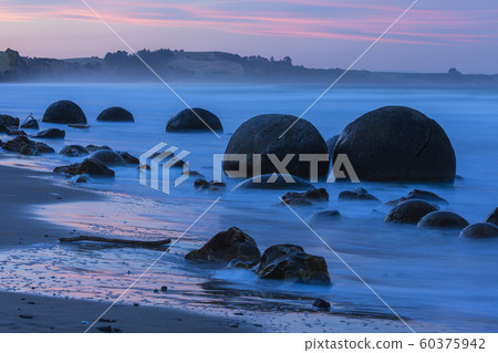 新西蘭Moeraki黃昏時的Moeraki巨石 60375942