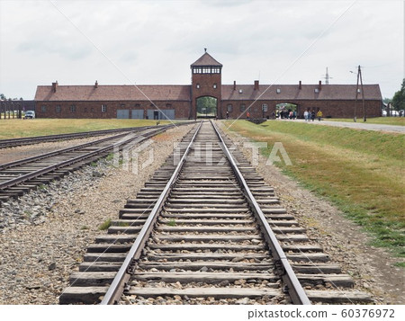 Birkenau 60376972