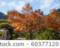 Scenery of autumn leaves 60377120
